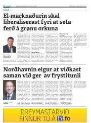 Síða 12