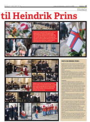 Síða 15
