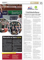 Síða 25