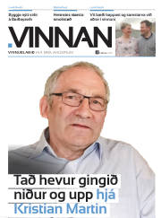 Síða 29