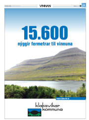 Síða 31