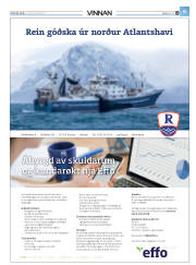 Síða 43
