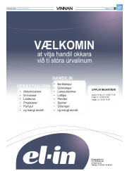 Síða 55