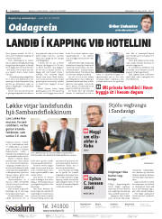 Síða 2