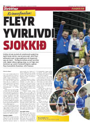 Síða 20
