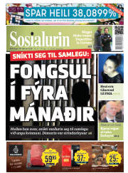 Síða 1