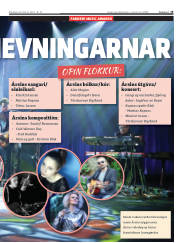Síða 19