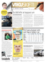 Síða 2