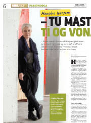 Síða 6