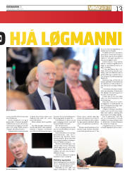 Síða 13