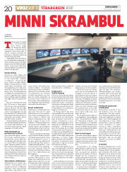 Síða 20