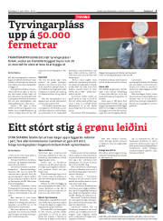 Síða 3