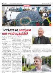 Síða 10