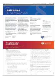 Síða 11
