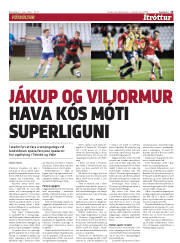 Síða 15