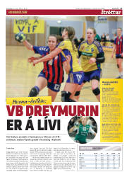 Síða 17