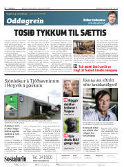 Síða 2