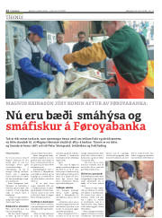 Síða 12
