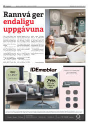 Síða 28