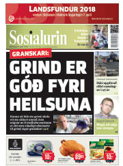 Síða 1