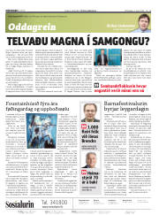 Síða 2