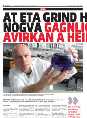 Síða 4