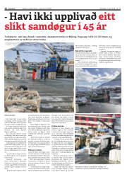 Síða 12