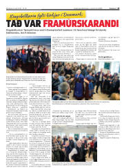Síða 13