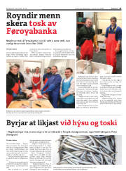 Síða 15