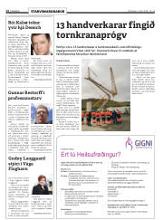 Síða 24
