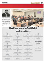 Síða 13