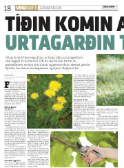 Síða 18