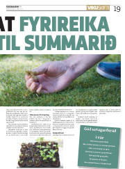 Síða 19