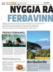 Síða 20