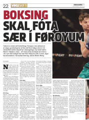 Síða 22