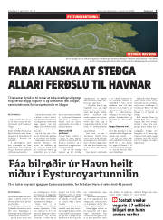 Síða 3