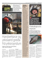 Síða 11
