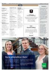 Síða 12
