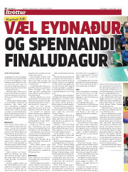 Síða 20