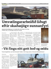Síða 8