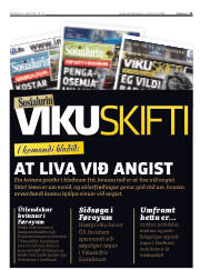 Síða 11