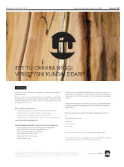 Síða 29