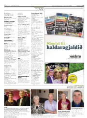 Síða 31