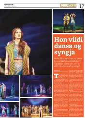 Síða 17