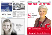 Síða 2