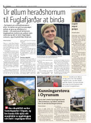 Síða 8