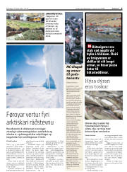 Síða 9