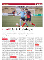Síða 13