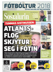 Síða 1