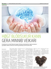 Síða 12
